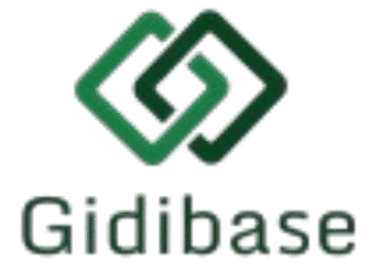 Gidibase IT Consulting